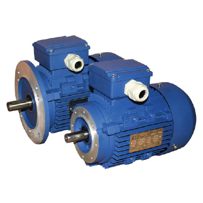 Motors With Flanges